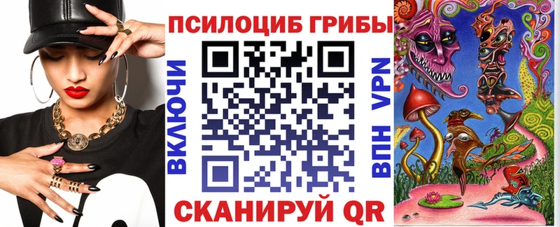 Псилоцибиновые грибы мицелий  Покровск 